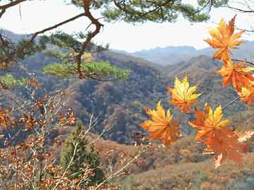 钛白粉龙头开启新年首轮涨价潮，多家企业去年业绩预减